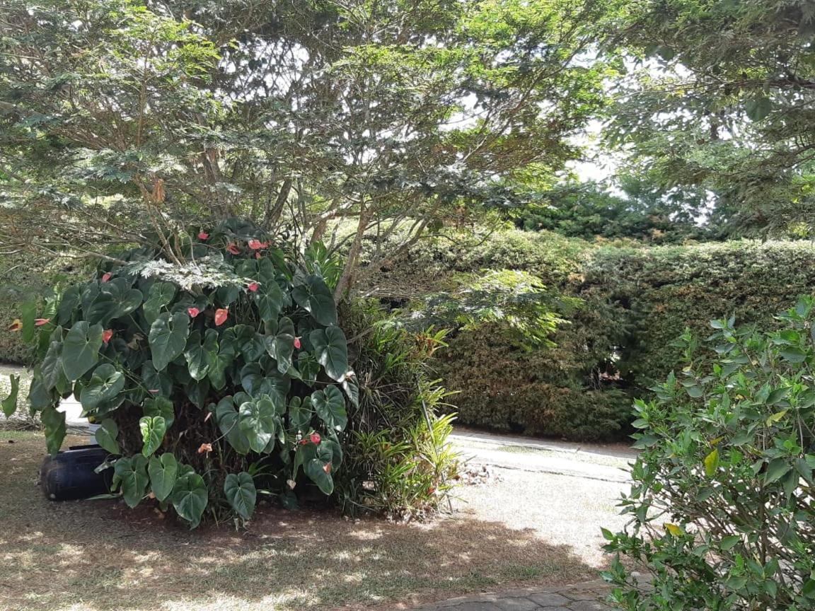 Finca Paraiso Calima Exterior photo