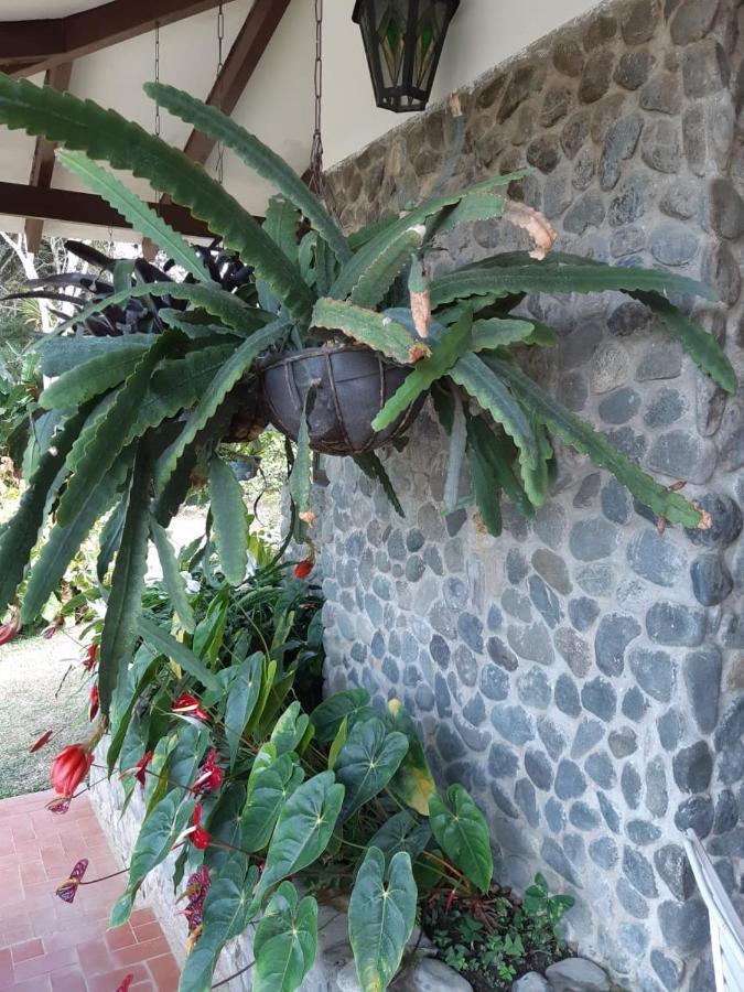 Finca Paraiso Calima Exterior photo